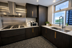 8 Raja (D12), Apartment #573583061